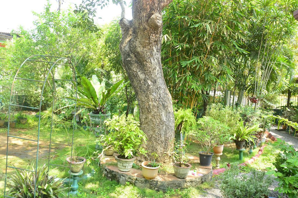 Livinginn Polonnaruwa Cidade Antiga de Polonnaruva Exterior foto