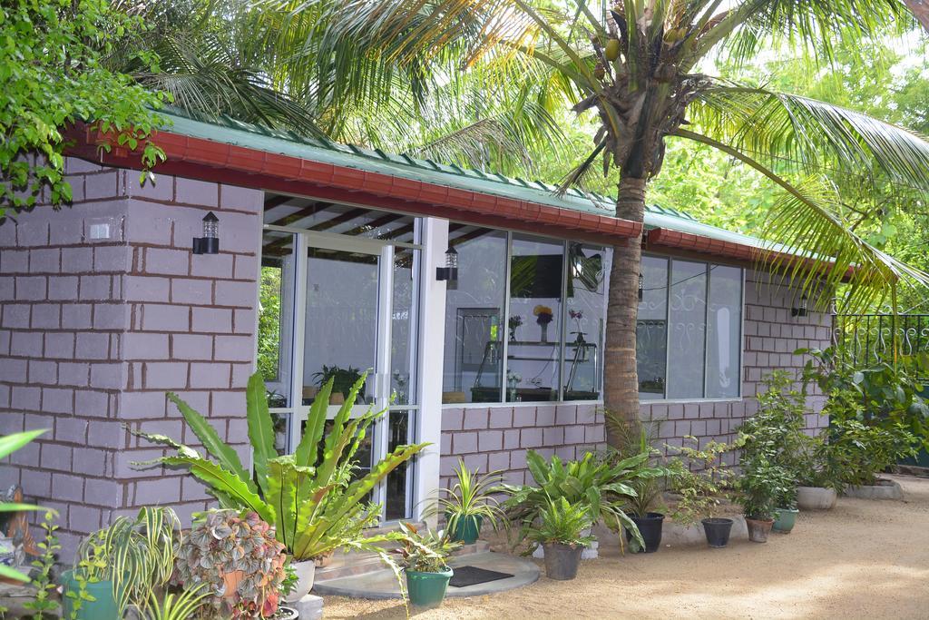 Livinginn Polonnaruwa Cidade Antiga de Polonnaruva Exterior foto