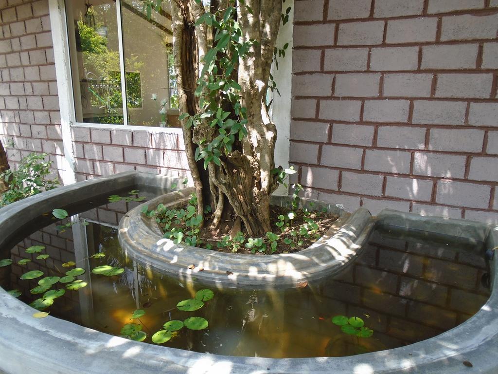 Livinginn Polonnaruwa Cidade Antiga de Polonnaruva Exterior foto